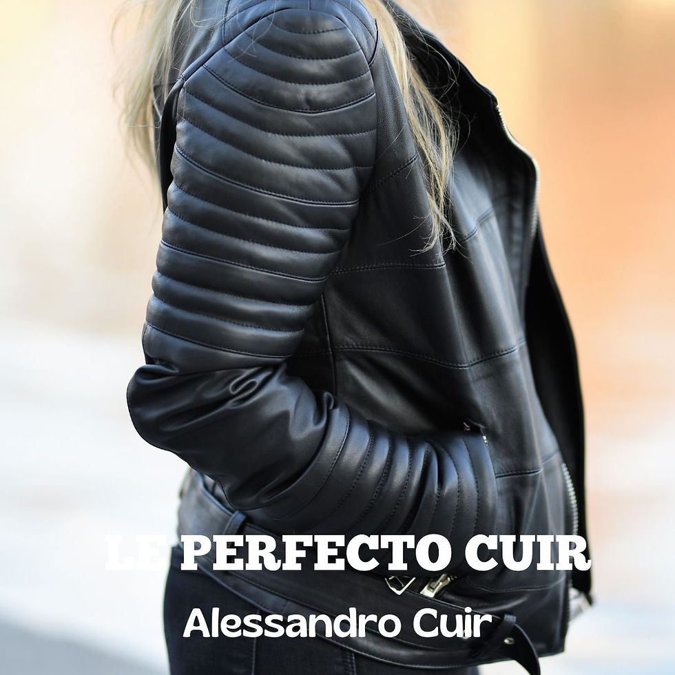 Miniature : Perfecto Sezane Cuir Noir