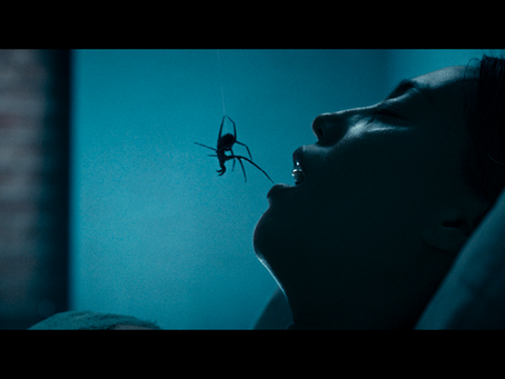A swarm of spiders crawls across a dark wall.