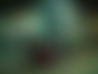 The Furious U.S. Premiere at Beyond Fest 2025 — Kenji Tanigaki’s Action Thriller Storms the Egyptian