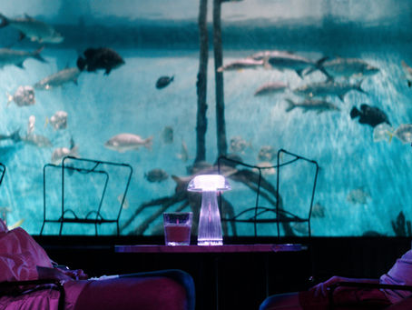 SXSW 25' Mermaid Brings Florida Man Chaos to SXSW with Horror, Comedy, and Mythical Obsession teaser