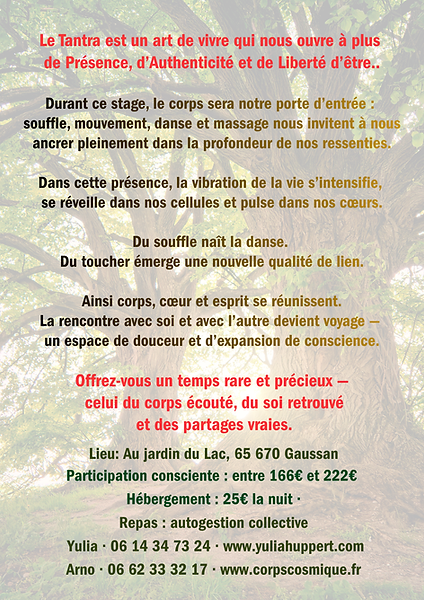 verso (3).png