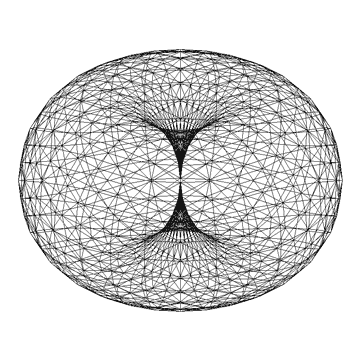 torus field.gif