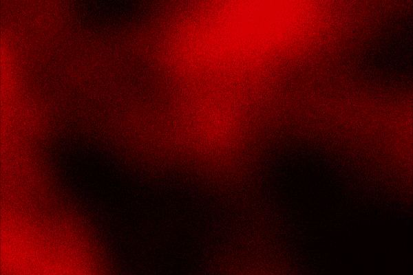 12 Wells - 2025 - GIF Designs (600 x 400 px).gif