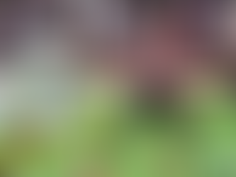 Soi kèo Estudiantes vs Racing, 04h00 ngày 9/7 - Argentina