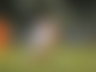 Soi kèo Viettel và Đà Nẵng, 18h00 ngày 19/11 - V League