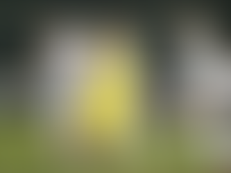 Soi kèo trận Hà Nội vs SLNA, 17h00 ngày 2/7/2023 - V League