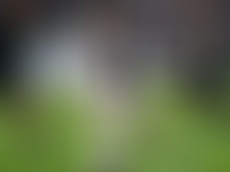 Soi kèo trận Bologna và Juventus, 01h45 ngày 01/05 - Serie A