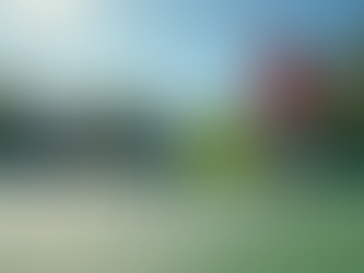 Elevate Your Game at Naples Tennis Academy Events