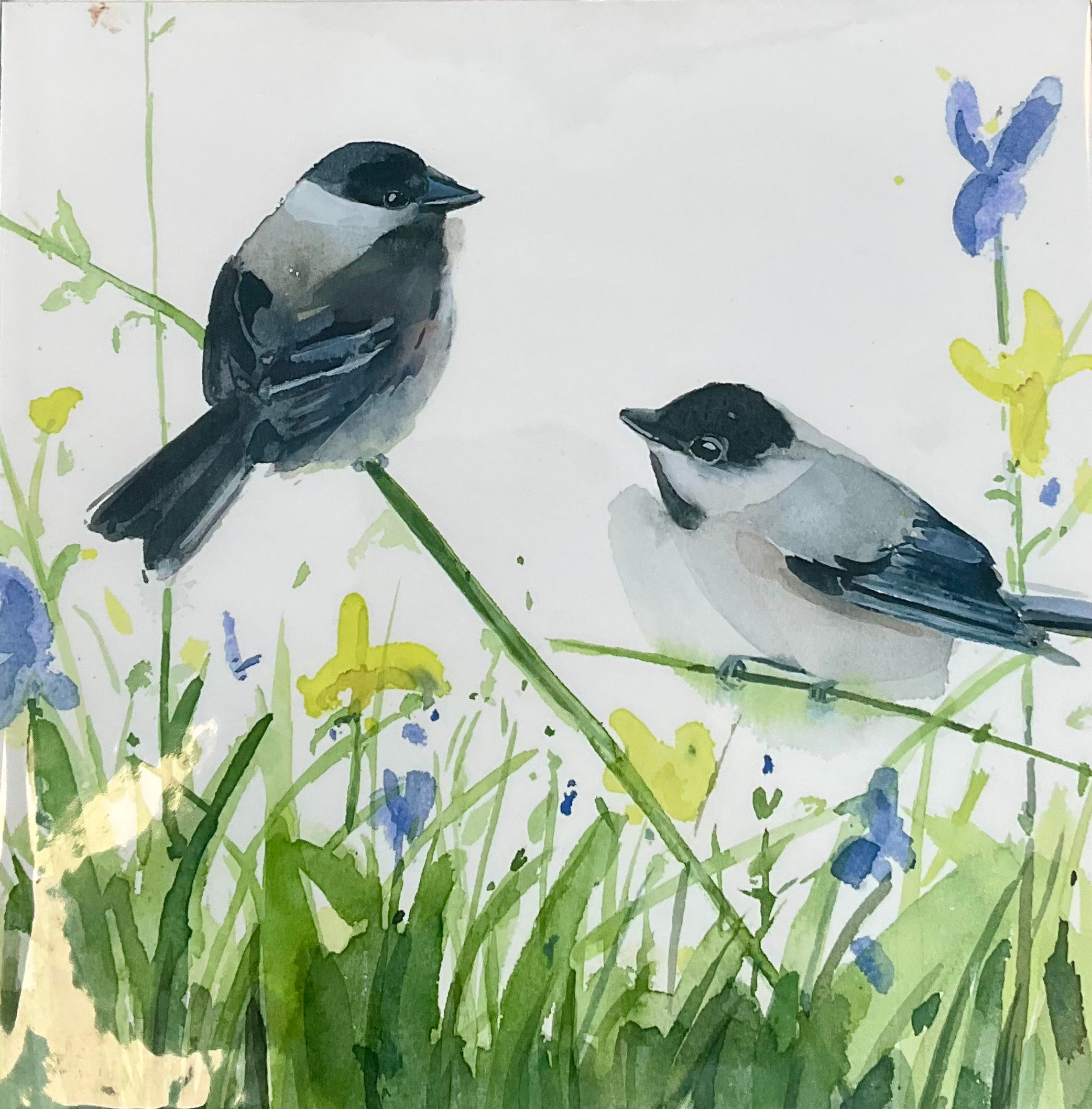 Chattering Chickadees