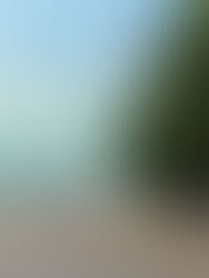 [China #9] Thanh Đảo - hòn đảo mùa hè xanh mát