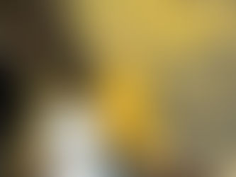 [Korea #25] Săn lá vàng mùa thu Seoul 🍂