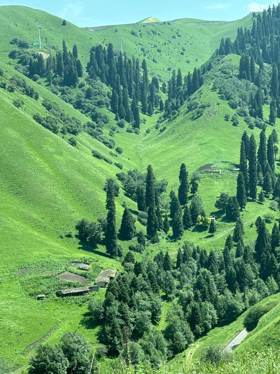 ree