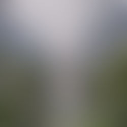 [Singapore #1] Kinh nghiệm chuẩn bị cho du lịch Sing 2022