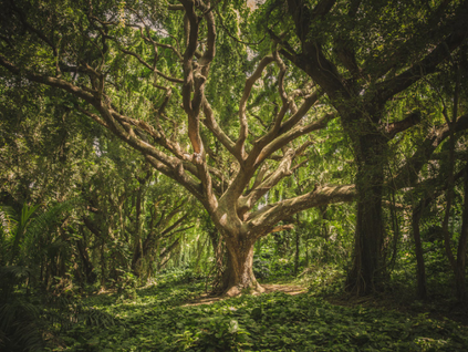 Ideas I want to remember
