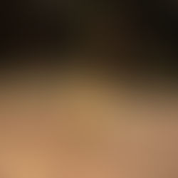 The Architecture of Looking Up: Creating Sanctuary in a "Work in Progress" World