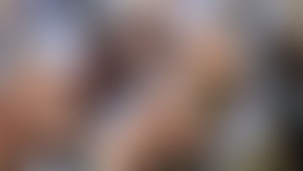 2/8(日)西文化会館ウエスティ 創造活動室にて