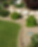 Untitled design-2.jpg