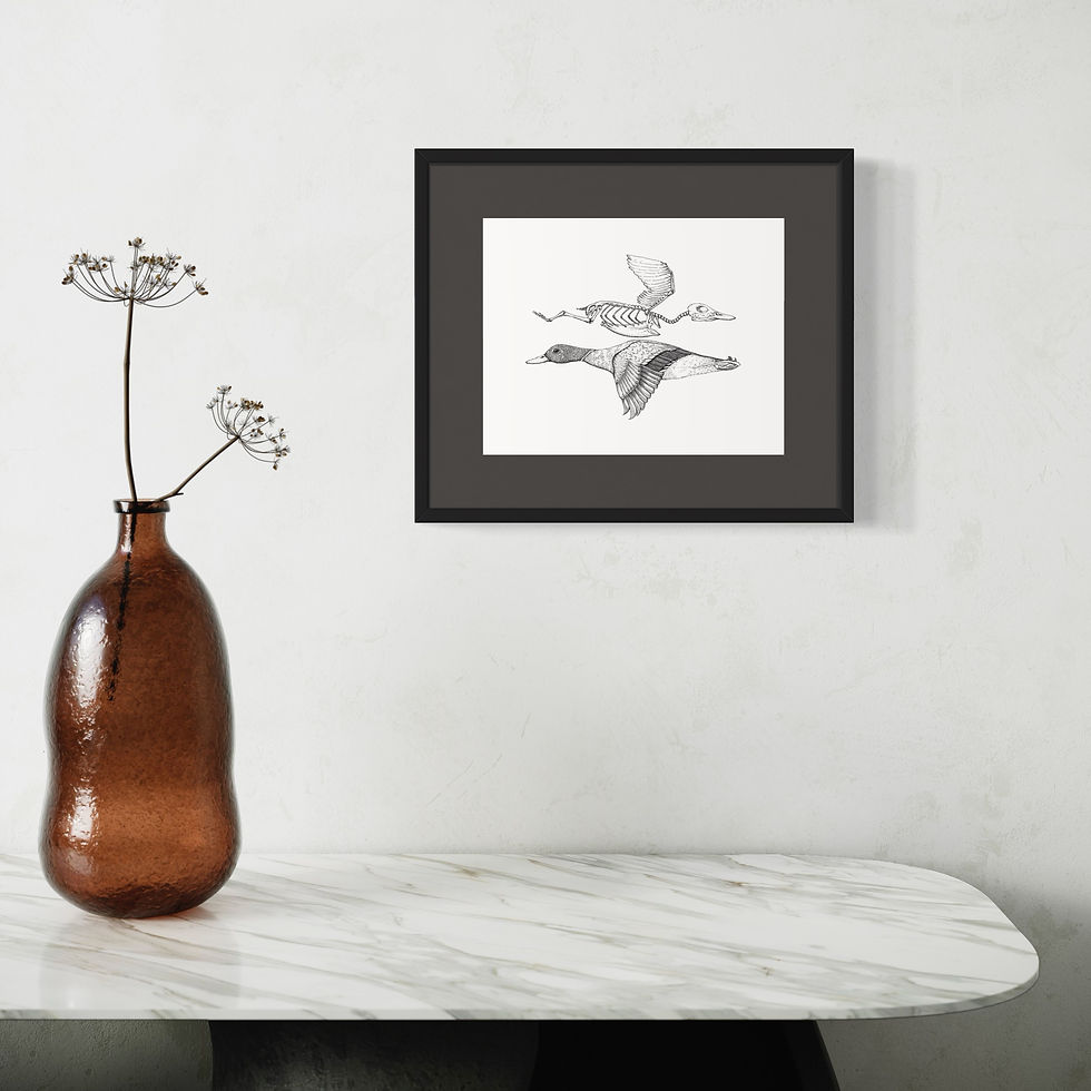 Thumbnail: Mallard