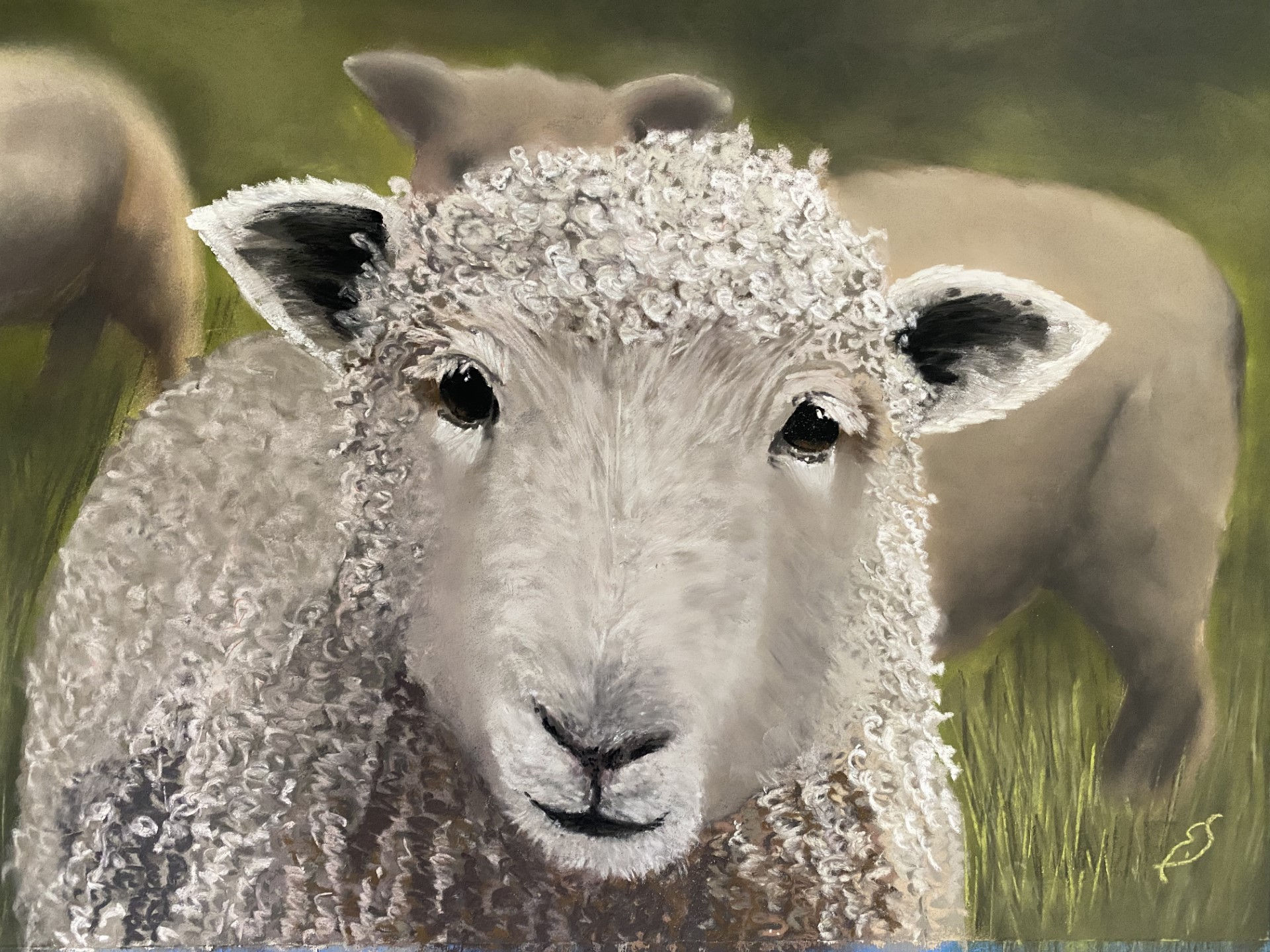Here's looking at Ewe! - original pastel painting