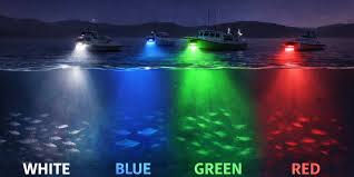 Pelagische vissoorten