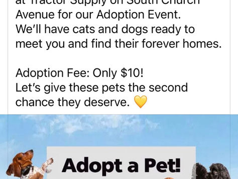 Louisville Animal Shelter Adoption Event Saturday at Tractor Supply