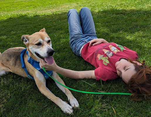 תמונה של WhatsApp 2024-04-30 בשעה 11.00.01_b72da7b4.jpg