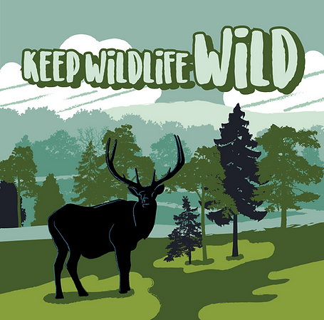 PW-LNT_KeepWild.png