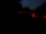 redlightsforfireflies.jpeg
