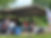 IMG_8741.jpeg