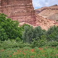 discover roses valley on a 3 days trip from errachidia to marrakech through the desert