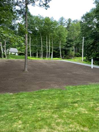 stump removal regrading Large.jpeg