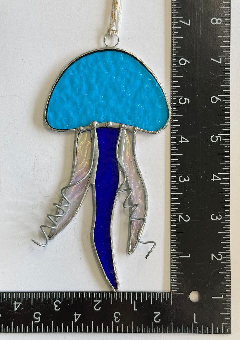 Jellyfish