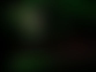 Gearing up the Team at the Singapore Studio