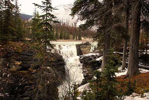 Krista_Webpage_Backgrounds (4)_edited.jpg