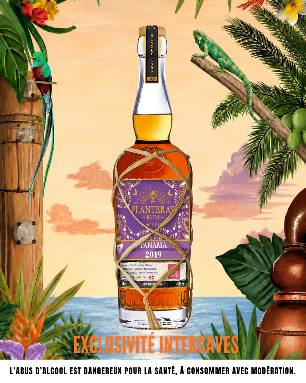 Affiche festive avec bouteille de rhum Planteray au centre, décor tropical, perroquet, iguane, texte Exclusivité InterCaves.
