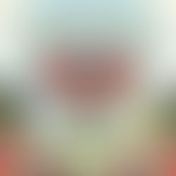 Le Flora Adora Gin, la dernière édition limitée signée Hendrick's 