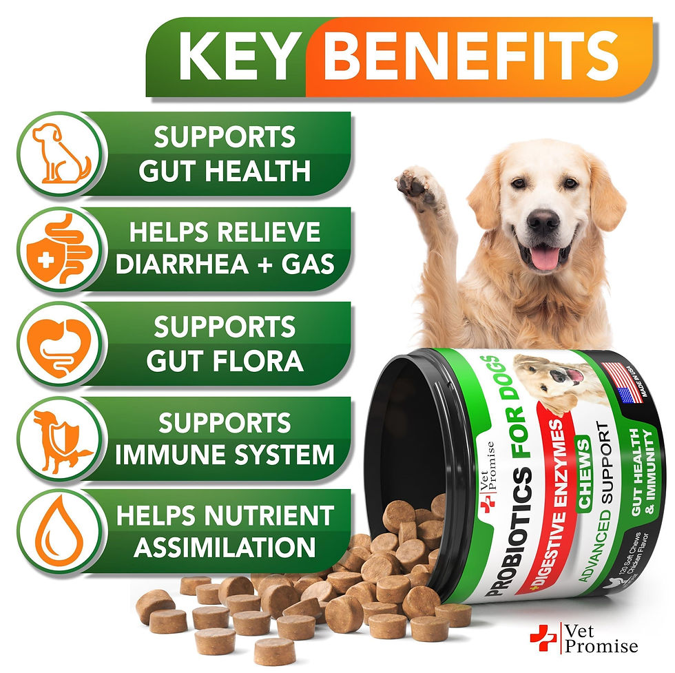 Thumbnail: Probiotics for Dogs Digestive Enzymes for Good Health Itchy Skin 120 Chews