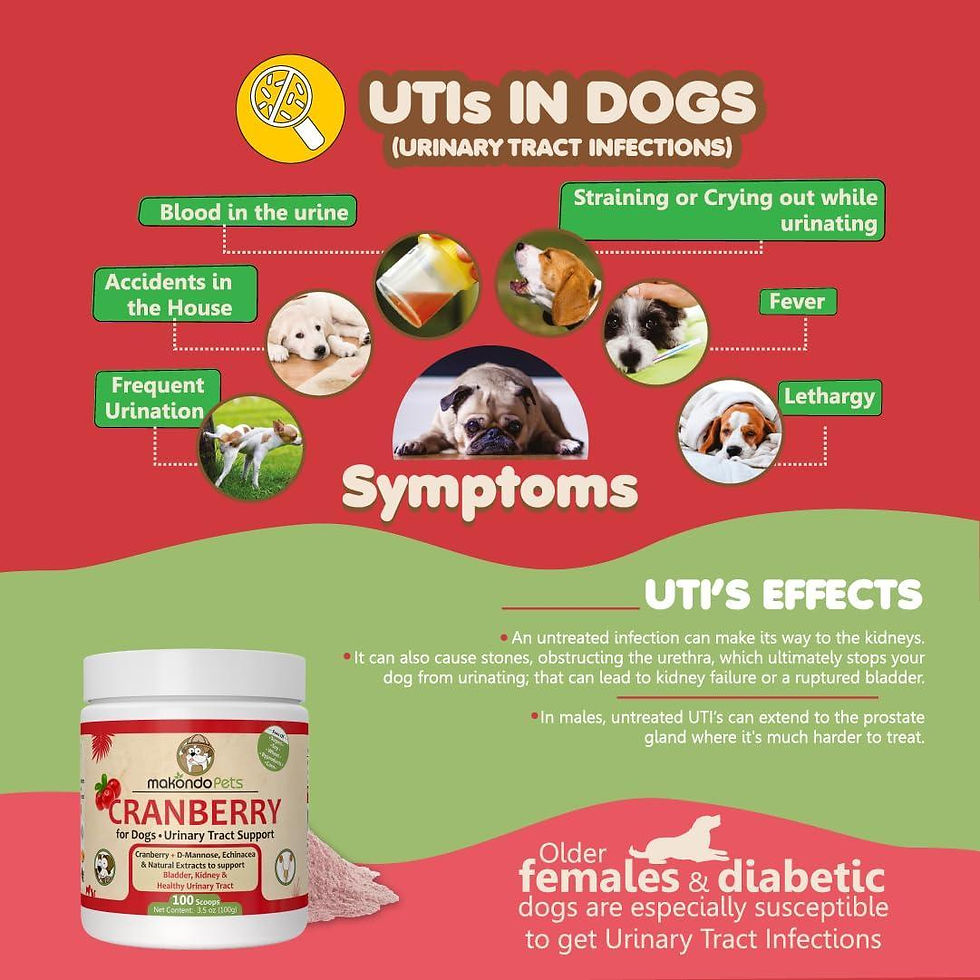 Thumbnail: Dog Cranberry Supplement   Natural Dog UTI Treatment & Kidney Support for Dogs.