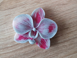 détails orchidée parfumée