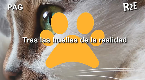 Captura de pantalla (393).png