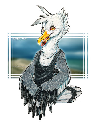 SeagullGalWEB.jpeg