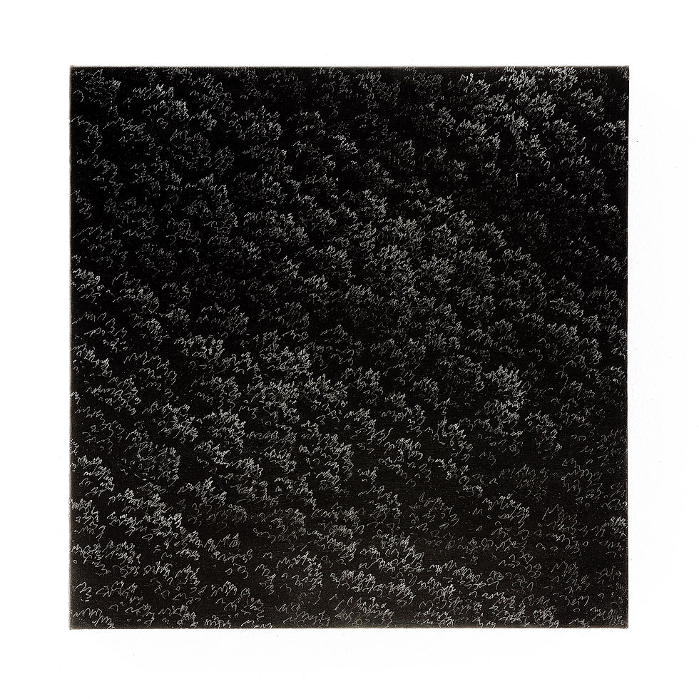 Franco Passalacqua - Compost alla Luna (2026) - Grafite su acrilico su tela - cm 50x50