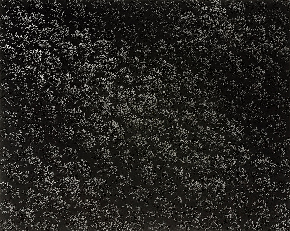 Franco Passalacqua - Compost alla Luna (2026) - Grafite su acrilico su tela - cm 80x100