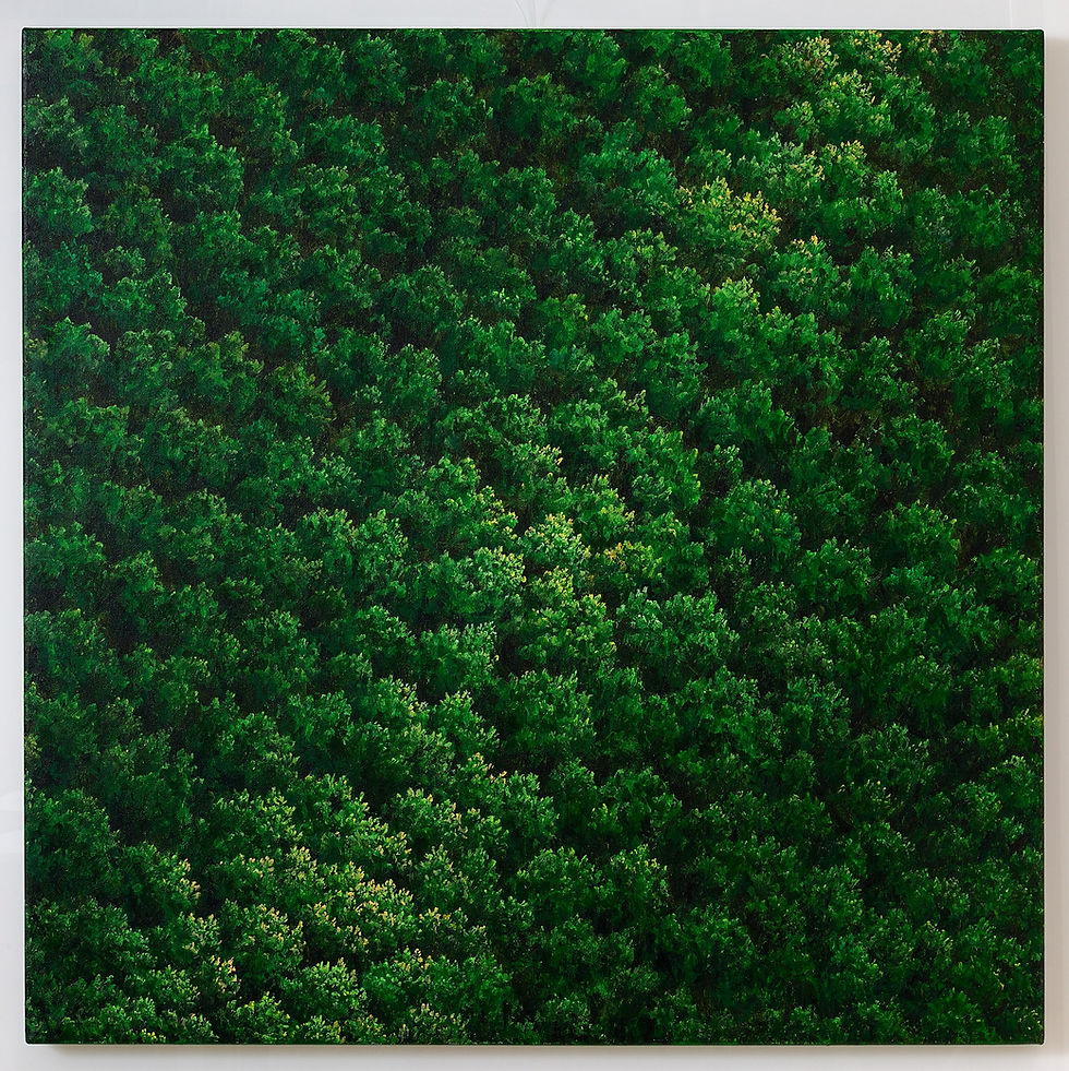 Franco Passalacqua - Compost (2023) - Acrilico su tela - cm 80x80