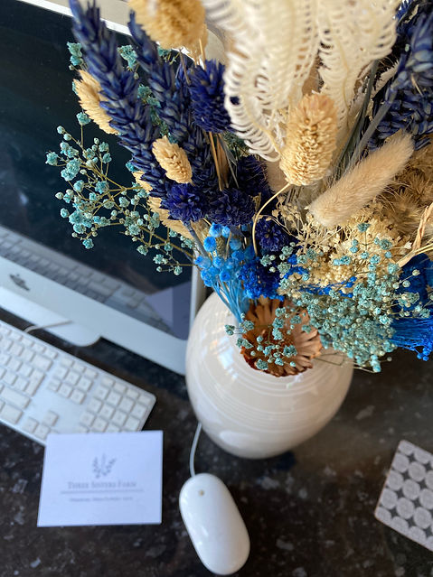 Dried flowers sat on desk next to imac