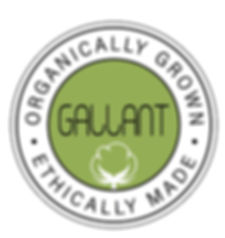 GALLANT INTERNATIONAL INC