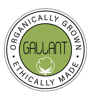 Gallant International Inc