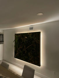 White backlighting installed behind a framed artwork in Seminole, FL – ambient wall lighting setup