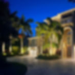 Coastal Palms Electrical landscape light_edited