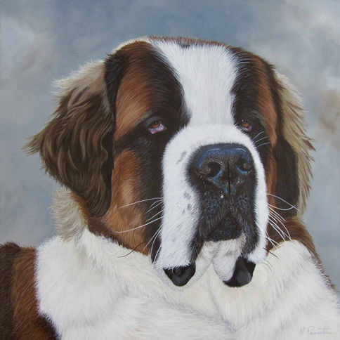 chien Saint-Bernard